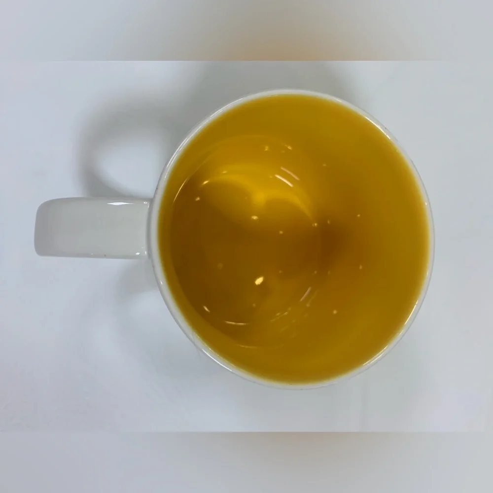 Starbucks You Are Here collection, DALLAS, 14oz coffee mug